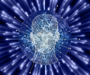 Announcement of the Second EDDD Workshop